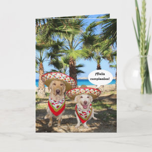 Cumpleaños ¡ Feliz! Kaart
