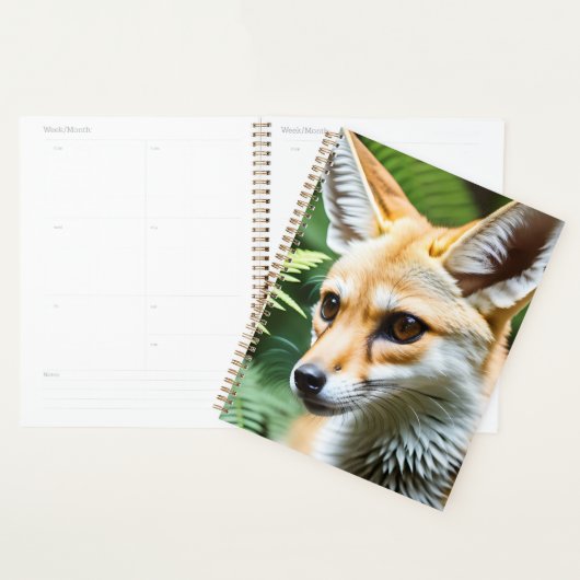 Cunning Fennec Fox, (Devant avec enveloppe)