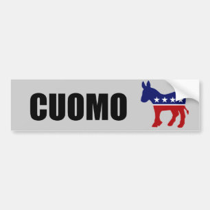 CUOMO 2010 BUMPERSTICKER