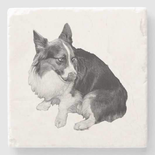 Cup Perch, Foxy Friend Stenen Onderzetter (Voorkant)