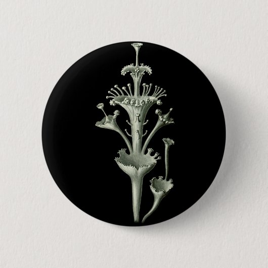 Cup Ronde Button 5,7 Cm (Voorkant)