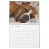 Cupcake-agenda Kalender (Feb 2026)