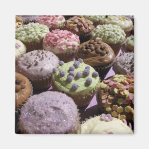 Cupcake Magnet Magneet