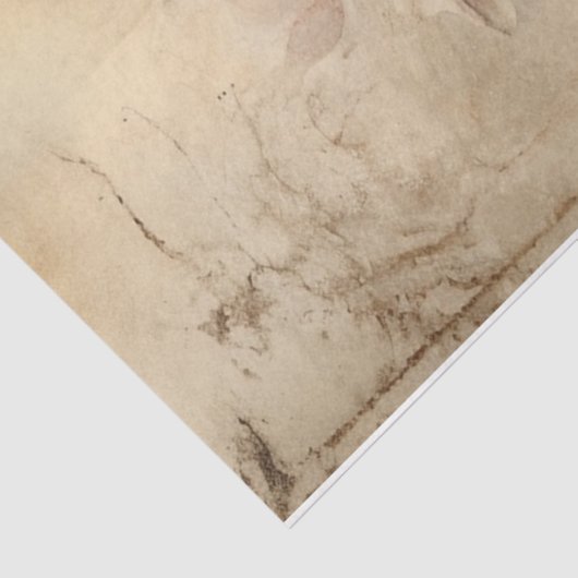  Cupid met Rozen Tissuepapier (Detail)