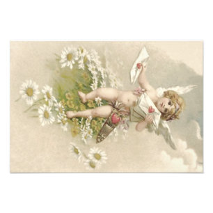 Cupido Cherubijn Engel Valentijnsdag Madeliefje Foto Afdruk