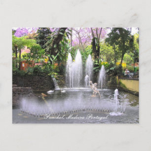 Cupido Waterfonteinen Funchal, Madeira (Portugal) Briefkaart