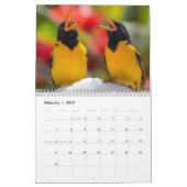 Curaçao droom kalender (Feb 2027)