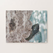 Curaçao - Green Iguana - Animal Legpuzzel (Horizontaal)