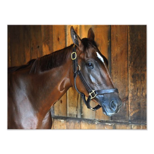 Curalina Foto Afdruk (Voorkant)