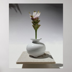 Curcuma Floating Print -20x24 -Andere formaten ook