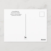 Curieuse carte postale Blue Jay (Dos)