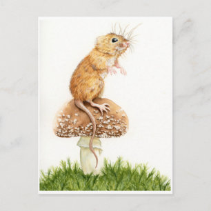 Curieuse petite souris sur carte postale de champi