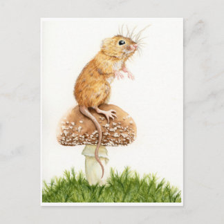 Curieuse petite souris sur carte postale de champi