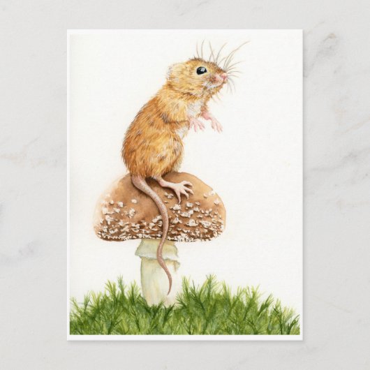 Curieuse petite souris sur carte postale de champi (Devant)