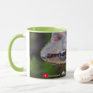Curieusement tasse de grenouille d'Adirondack