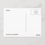 Curieux Alpaca ~ carte postale (Dos)