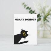 Curieux Black Cat carte postale (Debout devant)