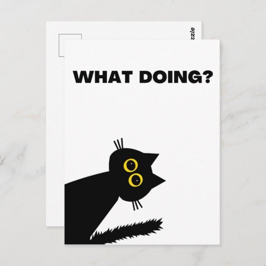 Curieux Black Cat carte postale (Devant / Derrière)