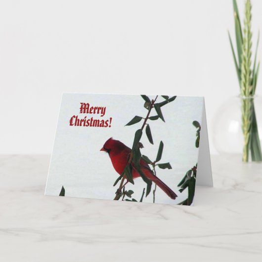 Curieux Cardinal Bird Carte de Noël (Devant)