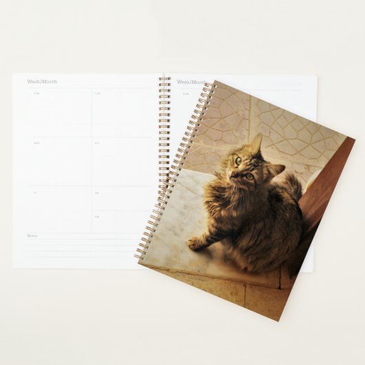 Curieux Carnet Kitty (Devant avec enveloppe)