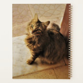 Curieux Carnet Kitty (Dos)