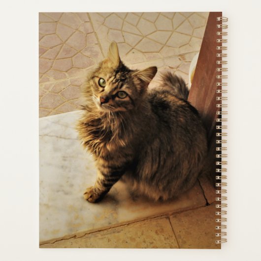 Curieux Carnet Kitty (Dos)