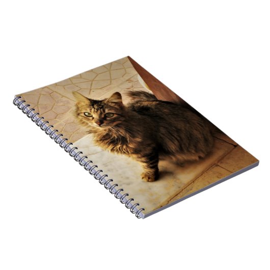 Curieux Carnet Kitty (Côté Droit)
