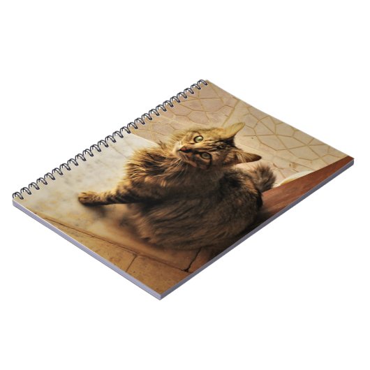 Curieux Carnet Kitty (Côté gauche)