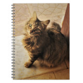 Curieux Carnet Kitty (Devant)