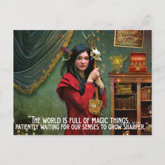 Curieux carte postale de curateur (Devant)