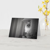 Curieux Chat, carte (Fleur jaune)