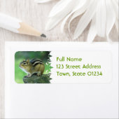 Curieux Chipmunk Étiquettes de messagerie (En situation)