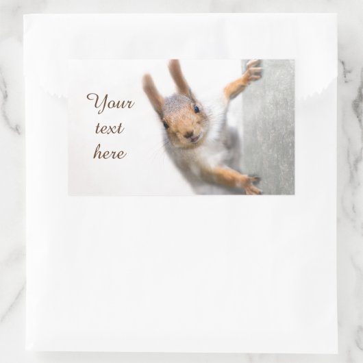 Curieux écureuil rectangulaire autocollant (Sac)