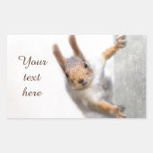 Curieux écureuil rectangulaire autocollant (Devant)