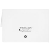 Curieux Kitty (Dos Horizontal)