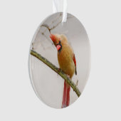 Curieux ornement cardinal féminin (devant)