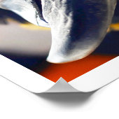 Curieux Poster couleur Macaw (Coin)