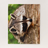 Curieux Raccoon, Jigsaw Puzzle (Vertical)