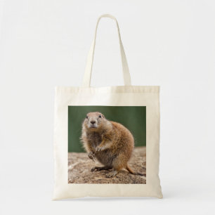 Curieux sac de chien de prairie