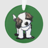 Curieux Saint Bernard (devant)