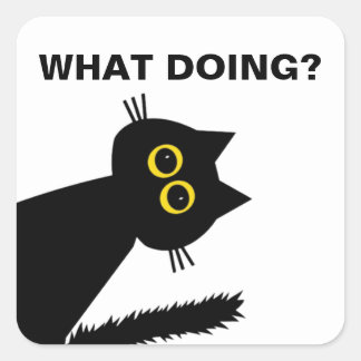 Curieux sticker Black Cat