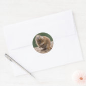 Curieux Sticker pour chien des Prairies (Enveloppe)