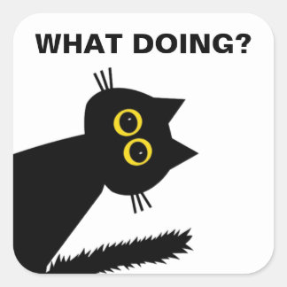 Curieux stickers Black Cat 3"