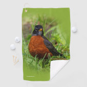 Curieuze Amerikaanse Robin Songbird in de gras Golfhanddoek (Insitu)
