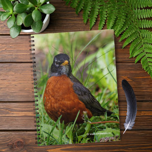 Curieuze Amerikaanse Robin Songbird in de gras Notitieboek
