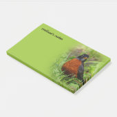 Curieuze Amerikaanse Robin Songbird in de gras Post-it® Notes (Schuin)