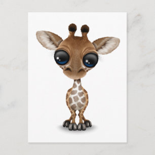 Curieuze Baby Giraffe Briefkaart