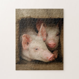 Curieuze biggen legpuzzel