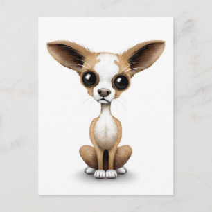 Curieuze Chihuahua met grote oorlogen op wit Briefkaart