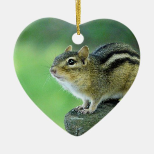 Curieuze Chipmunk Ornament (Voorkant)